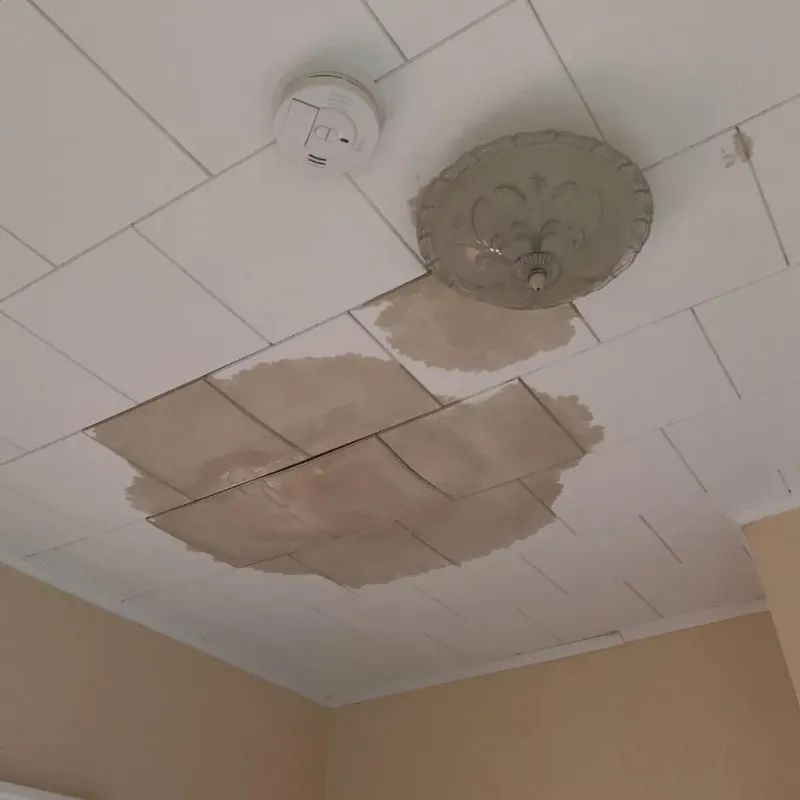Ceiling Water Damage Repair in Humphreys County, MS