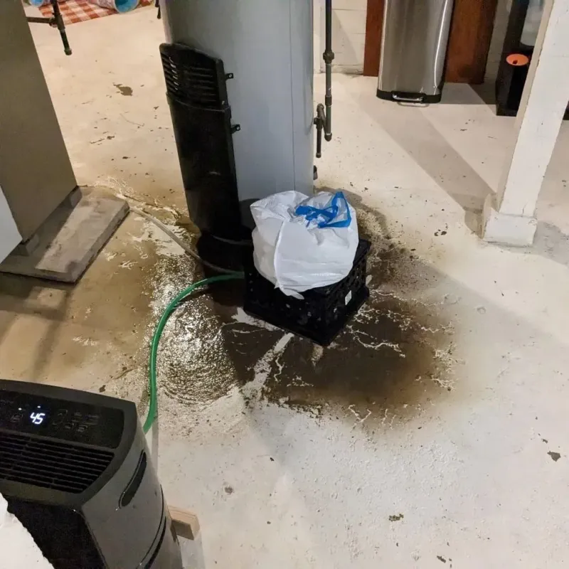 Sewage Backup Cleanup Service in Humphreys County, MS